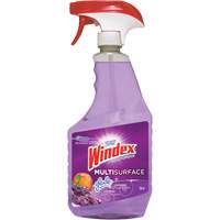 Nettoyant multi-surfaces de Windex, 765 ml, Bouteille &agrave; g&acirc;chette Southpoint Industrial Supply