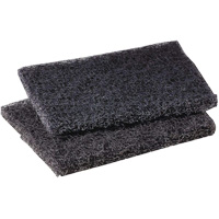 Scotch-Brite Griddle Polishing Pad, 4" L x 5" W Southpoint Industrial Supply