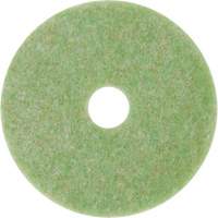 Tampon de m&eacute;lange naturel, 13", &agrave; r&eacute;curer, Vert Southpoint Industrial Supply