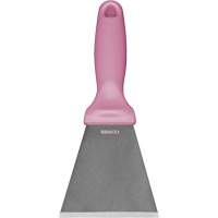 Grand racloir en acier inoxydable, Rose, 3" la x 9" lo Southpoint Industrial Supply