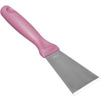 Grand racloir en acier inoxydable, Rose, 3" la x 9" lo Southpoint Industrial Supply