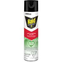 Raid<sup>®</sup> Essentials™ Ant & Spider Killer, 350 g, Aerosol Can JP467 | Southpoint Industrial Supply
