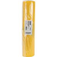 Doublures pour d&eacute;chets dangereux, Amiante, 40" lo x 26" la, 3 mils Southpoint Industrial Supply