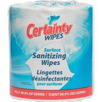 Surface Sanitizing Wipes, Packet JQ116 | Southpoint Industrial Supply