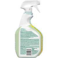 CloroxPro Clorox EcoClean Disinfecting Cleaner, 946 ml, Trigger Bottle Southpoint Industrial Supply