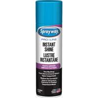 Brillant instantan&eacute; Pro Line pour surfaces en plastique, 11 oz, Canette a&eacute;rosol Southpoint Industrial Supply