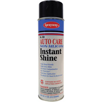 Brillant instantan&eacute; sans silicone Pro-Line Southpoint Industrial Supply