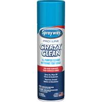 Pro Line Crazy Clean&reg; All Purpose Crazy Cleaner, 19 oz., Aerosol Can Southpoint Industrial Supply