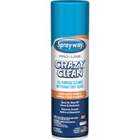 Pro Line Crazy Clean&reg; All Purpose Cleaner, 19 oz., Aerosol Can Southpoint Industrial Supply