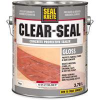 Seal-Krete&reg; Protective Sealer, 3.78 L, Water-Based, Gloss, Clear Southpoint Industrial Supply