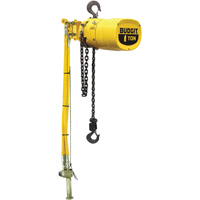 Budgit<sup>®</sup> Series 6000 Air Hoists LS926 | Southpoint Industrial Supply