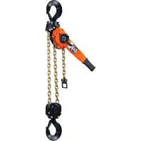 Series 653™-A Ratchet Lever Hoist, 5' Lift, 12000 lbs. (6 tons) Capacity, Steel Chain LW427 | Southpoint Industrial Supply