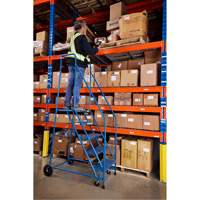 CSA-Certified Rolling Step Ladder, 5 Steps, 22" Step Width, 46" Platform Height, Steel Southpoint Industrial Supply