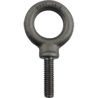 Alloy Steel Eye Bolt, 1" Dia., 1-1/4" L, 1480 lbs. (0.74 tons)/1480 lbs. Capacity MP568 | Southpoint Industrial Supply