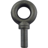 Alloy Steel Eye Bolt, 2-1/2" Dia., 3-1/2" L, 26600 lbs. (13.3 tons)/26600 lbs. Capacity MP575 | Southpoint Industrial Supply