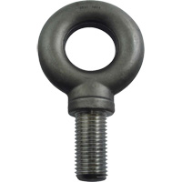 Alloy Steel Eye Bolt, 3-1/4" Dia., 4" L, 47600 lbs. (23.8 tons)/47600 lbs. Capacity MP576 | Southpoint Industrial Supply