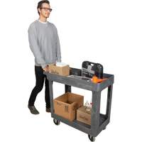 Chariot utilitaire pour l'entretien, 2 tiers, 16-1/2" x 32-1/2" x 34-1/2", Capacit&eacute; 550 lb Southpoint Industrial Supply