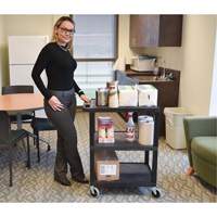 Chariot utilitaire &eacute;lectrique, 3 tiers, 24" x 42" x 18", Capacit&eacute; 300 lb Southpoint Industrial Supply