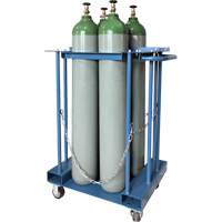 Support de rangement pour 4 cylindres pour chariot &eacute;l&eacute;vateur Southpoint Industrial Supply