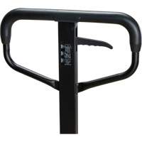 Steel Wheel Pallet Truck, Steel, 48" L x 27" W, 5500 lbs. Capacity Southpoint Industrial Supply