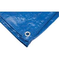 Tarp, Standard Duty, Blue, 7' x 5' x 4 mils Southpoint Industrial Supply