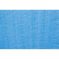 Tarp, Standard Duty, Blue, 7' x 5' x 4 mils Southpoint Industrial Supply