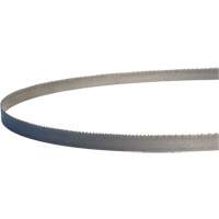 Master-Band&reg; Portable Band Saw Blades, Bi-Metal, 18 TPI, 44-7/8" L x 1/2" W Southpoint Industrial Supply