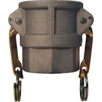 Global Cam & Groove Coupler, Aluminum, Type D, 2", Female NPT, 250 PSI Southpoint Industrial Supply