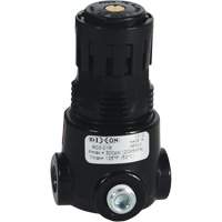 Wilkerson Miniature Regulator R03, 1/8" NPT, 300 psi Max. PSI, Standard Southpoint Industrial Supply