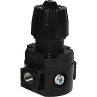 Wilkerson Compact Regulator R16, 1/4" NPT, 300 psi Max. PSI, Standard Southpoint Industrial Supply