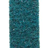 Courroie de conditionnement de surface Scotch-Brite Southpoint Industrial Supply