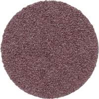 Meule en toile PSA 348D, 20" dia., Grain 60, Oxyde d'aluminium Southpoint Industrial Supply