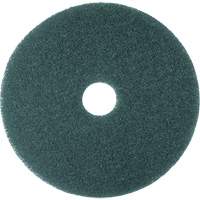Cleaner Pad, 13", Scrubbing, Blue NU293 | Southpoint Industrial Supply