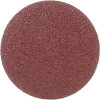 Lock Back Sanding Discs