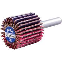 Mini-meule &agrave; lamelles mont&eacute;e sur tige, C&eacute;ramique d'alumine, Grain 40, 1" x 1" x 1/4" Southpoint Industrial Supply