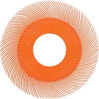 Scotch-Brite Type C Precision Radial Bristle Brush PN-RB without Adapter, Ceramic, 80+ Grit, 6" Dia. Southpoint Industrial Supply