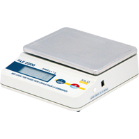 Economy Precision Scales, 2000 g Cap., 1 g Graduations PE131 | Southpoint Industrial Supply