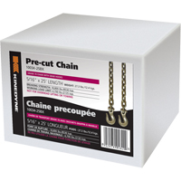 Chains PE965 | Southpoint Industrial Supply