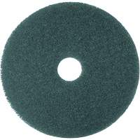 5300 Series Pad, 16", Cleaning, Blue PG207 | Southpoint Industrial Supply