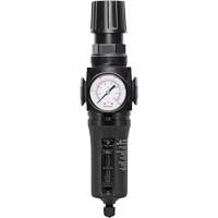 Filtre/r&eacute;gulateur drain manuel avec bol en m&eacute;tal Modulair 300, 1/4" NPT, 250 PSI, Capacit&eacute; de 5,1 oz liq. Southpoint Industrial Supply