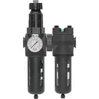 Filtre/d&eacute;tendeur & filtre coalescent Modulair 400 avec bol standard & drain manuel, 3/4" NPTF, 150 psi, Capacit&eacute; de 9,13 oz liq. Southpoint Industrial Supply