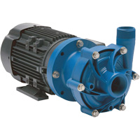 Magnetic Drive Pump with Carbon Bushing Southpoint Industrial Supply