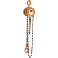 Chain Hoist, 10' Lift, 1000 lbs. (0.5 tons) Capacity, Steel Chain QG621 | Southpoint Industrial Supply