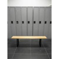 Locker Room Bench, Wood, 96" L x 9-1/4" W x 16-1/2" H RL874 | Southpoint Industrial Supply