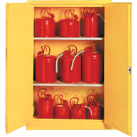 Insulated Flammable Liquid Safety Cabinets, 30 gal., 2 Door, 44" W x 45" H x 19" D SA087 | Southpoint Industrial Supply