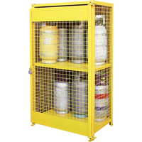 Gas Cylinder Cabinets, 12 Cylinder Capacity, 44" W x 30" D x 74" H, Yellow SAF847 | Southpoint Industrial Supply