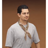 Cool Offs Bandana, Multi-Colour Southpoint Industrial Supply