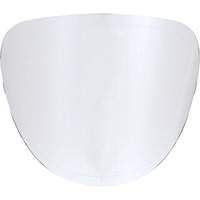 Lentilles de rechange Southpoint Industrial Supply