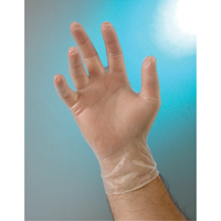 Examination Grade Gloves, Small, Vinyl, 4-mil, Powder-Free, Clear, Class 2 SAI677 | Southpoint Industrial Supply