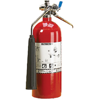 Aluminum Cylinder Carbon Dioxide (CO2) Fire Extinguishers, BC, 5 lbs. Capacity SAJ098 | Southpoint Industrial Supply